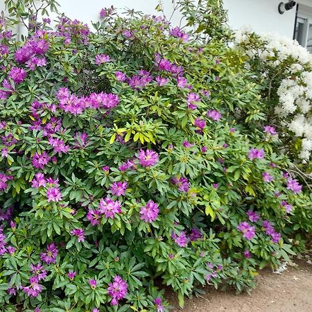 Bed and Breakfast Les Abelias Hauterive  Exterior foto
